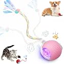 Speed 2.0 Tail Interactive Cat Toys for Indoor Cats, Moving Cat Toy