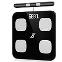 Speediance Smart Scale for Body Weight, 8-Electrode Digital Bathroom Scale for Body Weight, Body Fat, BMI, Muscle Mass, Full Body Composition Analyzer with WiFi, Highly Accurate, 400 lb Capacity