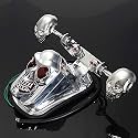 Speedwav Skull Motorcycle ATV Rear Taillight Turn Signal Brake Plate Scooty_Windshield161