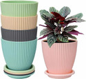 SPHINE Flower Pot For Home and Garden