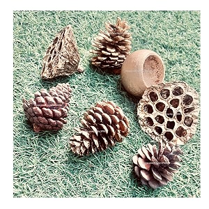 sphinx natural handpicked gold bronze painted assortment of lotus pods pine cones and bell cup potpourri for bowl filling table decorations seasonal decor -pack of 8 pieces