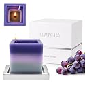 Spiral Wick Scented Soy Candle for Home Decor, Grapevine Scent