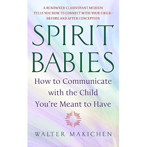 spirit babies how to communicate with the child you39re meant to have