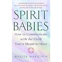 Spirit Babies: How to Communicate with the Child You're Meant to Have