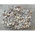 Spirit Quartz Chips – Natural Mini Spirit Quartz Stones, Crushed Undrilled Spirit Quartz, Semi-Tumbled Genuine Spirit Quartz (1/2 lb)