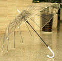 Spirit Transparent Umbrella Wedding Style Auto Open Stick ,Large Canopy Umbrella Umbrella