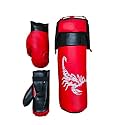 Spiro Kids Champ Junior Boxing Set | 1 Punching Bag, 1 Head Guard, 2 Boxing Gloves | Boxing Training Punching Bag & Gloves for Boys & Girls