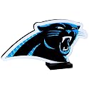 Sporticulture NFL Team Carolina Panthers LED Infinity Logo Light - 3D Light Effect, Acrylic Display with UL Plug and Stand