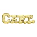 Sports Chenille Lapel Pins: 44 Varieties - Bright Gold - Unisex - Clutch Back