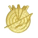 Sports Chenille Lapel Pins: 44 Varieties - Bright Gold - Unisex - Clutch Back