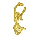 Sports Chenille Lapel Pins: 44 Varieties - Bright Gold - Unisex - Clutch Back