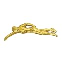 Sports Chenille Lapel Pins: 44 Varieties - Bright Gold - Unisex - Clutch Back
