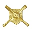 Sports Chenille Lapel Pins: 44 Varieties - Bright Gold - Unisex - Clutch Back