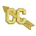 Sports Chenille Lapel Pins: 44 Varieties - Bright Gold - Unisex - Clutch Back