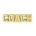 Sports Chenille Lapel Pins: 44 Varieties - Bright Gold - Unisex - Clutch Back