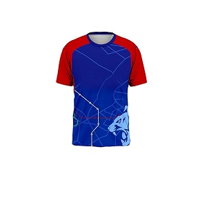 sports india ipl cricket team t shirt jersey for kid39s boy39s amp mens new latest 2024 l795