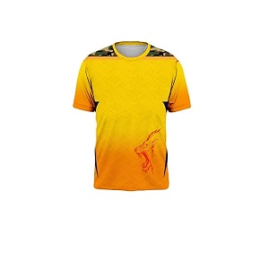 sports india ipl cricket team t shirt jersey for kid39s boy39s amp mens new latest 2024 l795