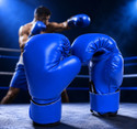 SPORTSLY Boxing Gloves for Men & Women | PU Leather Training Gloves Boxing Gloves