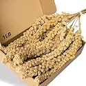 Spray Millet Treat for Birds Parakeets, Millet for Birds, Natural Bird Food