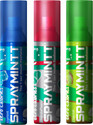 Spraymintt 1 Second Instant Mouth Freshener Combo - Icymint + Thandapaan + Elaichill Spray (45 g)