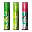 Spraymintt Combo | Elaichill Saunfshiver and Thandapan, Multi, 15 gram | Mukhwas | Breath Freshener|Oral Hygiene |