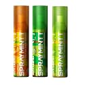 Spraymintt Mouth Freshener | Mukhwas | Breath Freshener | Oral Hygiene |175+ sprays of instant long lasting with Zero Calories Freshness | Orangewave flavour + Elaichi flavour + Saunfshiver flavour | 15g - Pack of 3