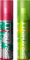 Spraymintt 1 second Instant Mouth Freshener - Saunfshiver + Thandapaan Combo| Spray (30 g)