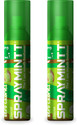 Spraymintt 1 Second Instant Mouth Freshener - Elaichill Spray (30 g)