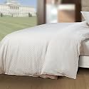 Spread Spain Cotton Oxford 400 Thread Count Geometric Pattern Single Bed Size Zipper Duvet/Quilt Cover Soft and Comfy Duvet Cover (60" x 90" inch Champagne)