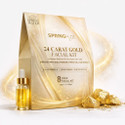 SPRING H2O 24 Carat Gold Facial Kit