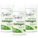 Sprowt Plant Based Collagen Supplement for Youthful &amp; Glowing Skin | Collagen Powder for Men and Women | Supports Beautiful Skin | Contains Amla, Vitamin C and Guava | 90gm