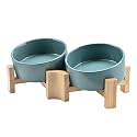 SPUNKYJUNKY 15° Slanted Ceramic Dog and Cat Bowl with Wooden Stand, Tilted Bulldog Food and Water Bowl No Slip Non-Spill for Cats Medium Dogs Big Face Pets 13.5 OZ (1.7 Cups, Light Green × 2)