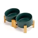 SPUNKYJUNKY 15° Slanted Ceramic Dog and Cat Bowl with Wooden Stand, Tilted Bulldog Food and Water Bowl No Slip Non-Spill for Cats Medium Dogs Big Face Pets 28.7 OZ (3.6 Cups, Green × 2)