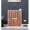 Spyder Craft 2 Door Stellar Modern Shoe Rack -Transform Your Space with Ample Storage,Chic Style Footwear Stand Organizer for Hall, Entryway | Color:-Noce Lyon &amp; White | 1 Year Manufacturing Warranty