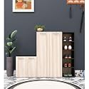 Spyder Craft 4 Door Louis Modern Shoe Rack -Transform Your Space with Ample Storage,Chic Style Footwear Stand Organizer for Hall, Color:-Black &amp; Walnut Light, 1 Year Manufacturing Warranty (Brown)