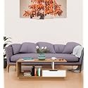 Spyder Craft Modern Wooden Coffee Table with Storage| Coffee Table for Living Room Engineered Wood Coffee Table (Modern, White)