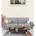 Spyder Home Decore Craft Modern Wooden Coffee Table with Storage| Coffee Table for Living Room Engineered Wood Coffee Table (Modern, Wood Brown)