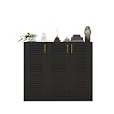 Spyder Craft Shoe Cabinet with Storage - Shinx Storage Organizer with Doors Side Cupboard for Shoe, Hallway, Kitchen, Living Room, Office, Color -Black, 1 Year Warranty,Easy to Assemble