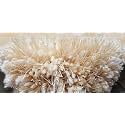 Square Plain Fur Rugs for Bedroom Home