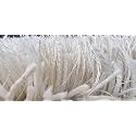 Square Plain Fur Rugs for Hall and