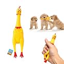 Squeaky Chicken Dog Toy Hen Design for