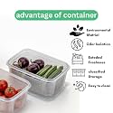 SR Fridge Container - Plastic Transparent Fridge Storage Box with Air Tight Lid for Vegetables, Fruits, Fish &amp; Meat to Keep Fresh, Refrigerator Pantry Organizer Freezer Dabba Box(1800ML, 6 Pcs)