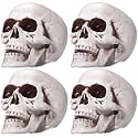 Sratte 4 Pcs Halloween Human Skull Model Adult Plastic Skull Decor Fake Head Decorations Realistic Head Bone Model Human Skeleton Statue (4.3 Inch)