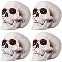 Sratte 4 Pcs Halloween Human Skull Model Adult Plastic Skull Decor Fake Head Decorations Realistic Head Bone Model Human Skeleton Statue (8 Inch)