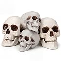 Sratte 4 Pcs Halloween Human Skull Model Adult Plastic Skull Decor Fake Head Decorations Realistic Head Bone Model Human Skeleton Statue (8 Inch,5.1 Inch)