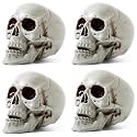 Sratte 4 Pcs Halloween Plastic Skull Human Skeleton Model,5.1 Inch