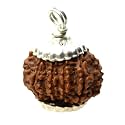 SreeGems 10 Mukhi Rudraksha Original Certified 10 Face Rudraksha Blessed By Lord Vishnu Das Mukhi Rudraksha With Capping 10 Mukhi Rudraksha Pendant 10 मुखी रुद्राक्ष 10 Mukhi Rudraksha Nepali