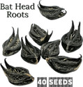 SS520 Bat Head Roots 41 Pc.Devil Evil Pods Vampire Telugundi Singadas Kaknasa Martynia