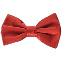 Stacy Adams Men39s Solid Bow Tie