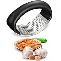 Stainless Steel Garlic Crusher, Portable Manual Garlic Crusher (1)